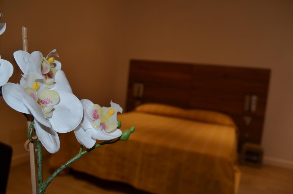 5Rooms ローマ 部屋 写真